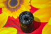 Canon 55-250mm STM DSLR Camera Lens
